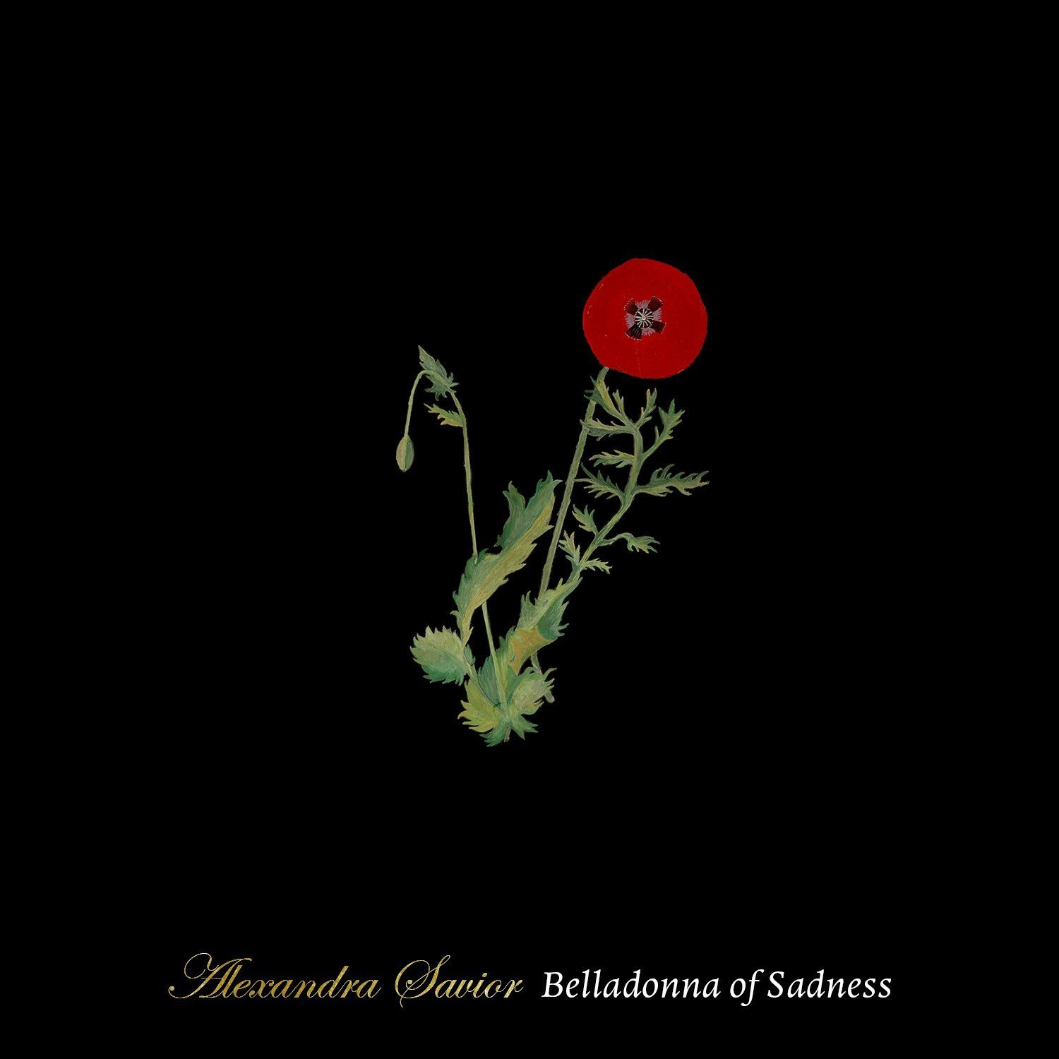 pop 04 17 alexNDRA belladonna