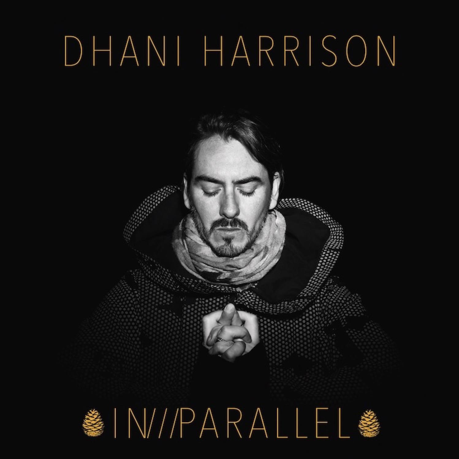 pop 10 17 Dhani Harrison
