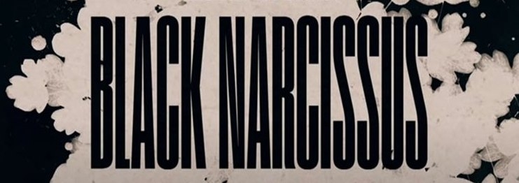 fimz 02 21 black narcissus 4
