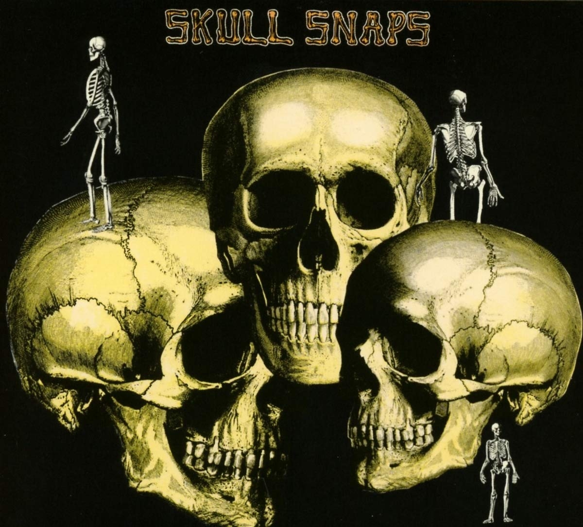 catalog 02 19 SkullSnaps